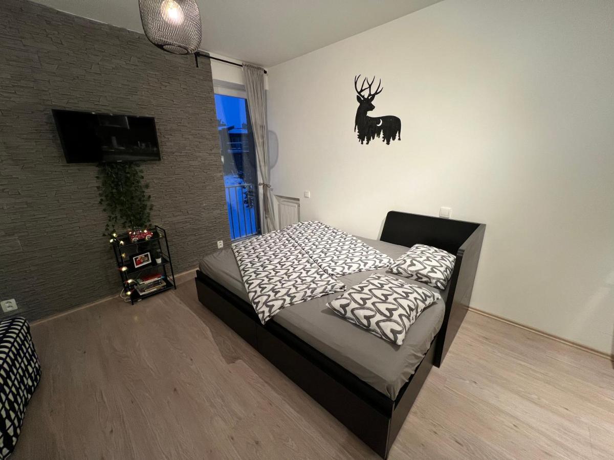 Nelis Apartmán Klínovec Apartamento Loučná pod Klínovcem Exterior foto