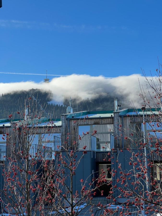 Nelis Apartmán Klínovec Apartamento Loučná pod Klínovcem Exterior foto